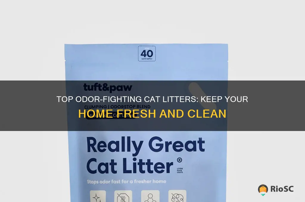 best ordor control cat litter