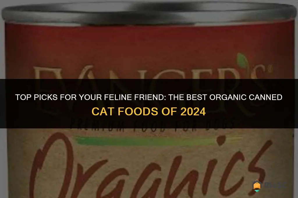 best organic canned cat food