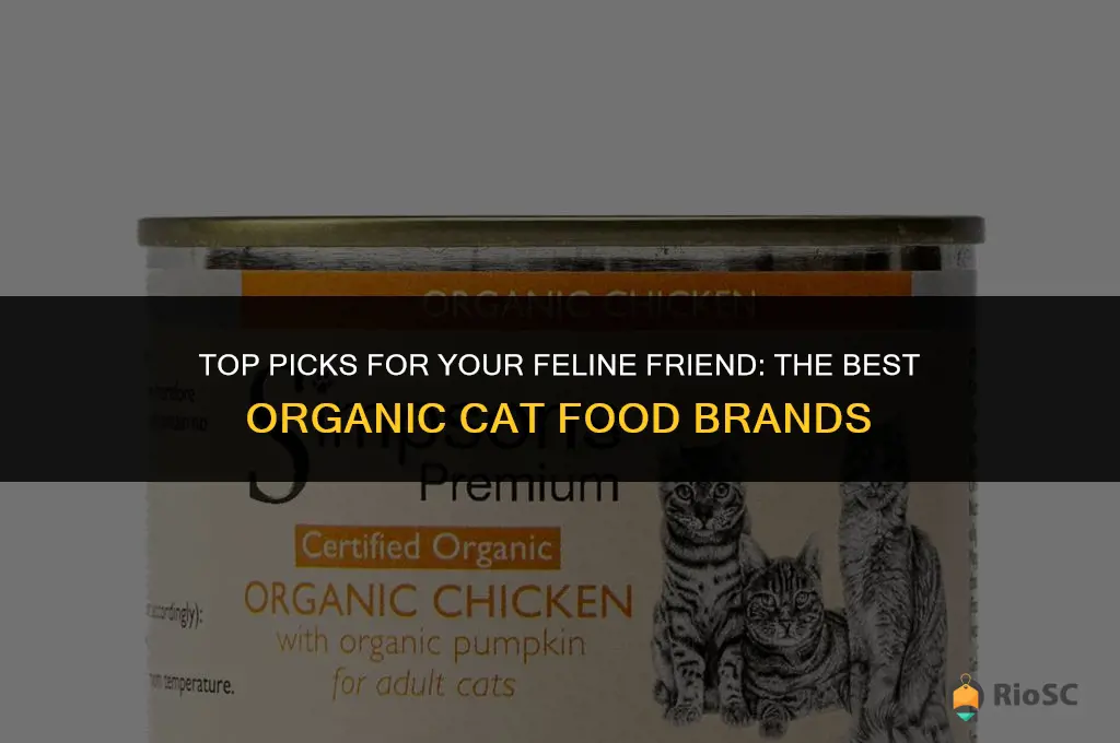 best organic cat food brands