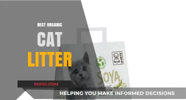 Eco-Friendly Feline Care: Top Picks for the Best Organic Cat Litter