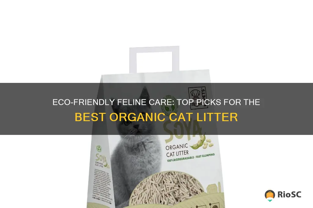 best organic cat litter