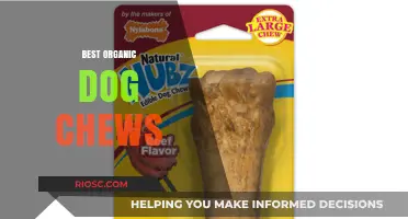 Natural and Safe: Top Organic Dog Chews for Healthy Canine Snacking