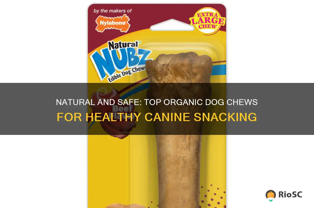 best organic dog chews