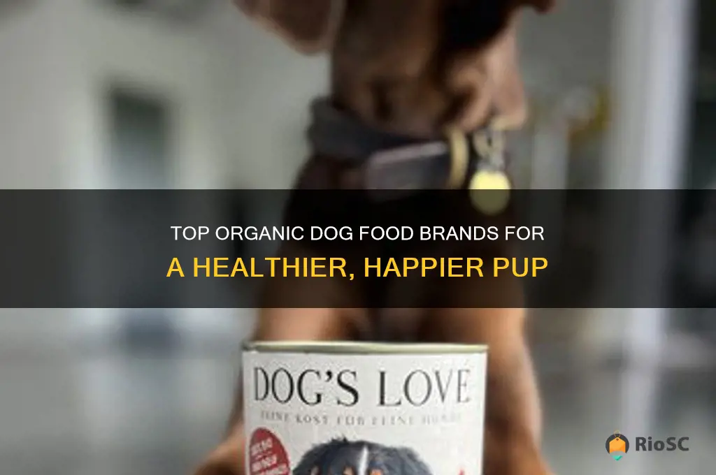 best organic dog food brands