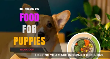 Nourishing New Beginnings: Top Organic Dog Food Picks for Your Puppy's Health and Happiness