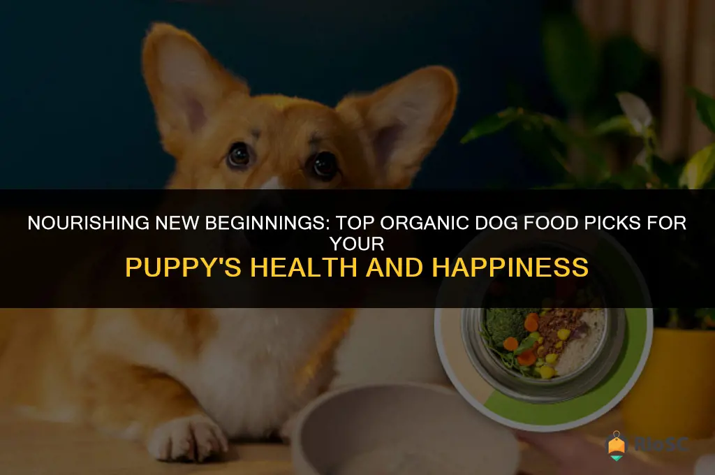 best organic dog food for puppies