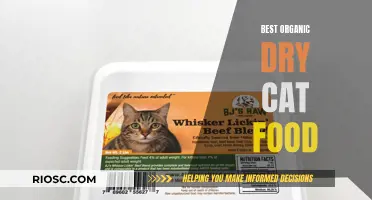 Top Picks for Your Feline Friend: The Best Organic Dry Cat Food Options