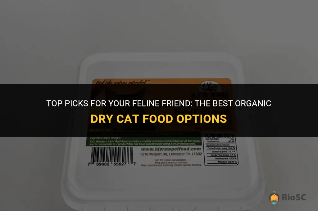 best organic dry cat food