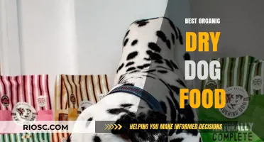 Top Organic Dry Dog Food Options for a Healthy and Happy Canine Companion