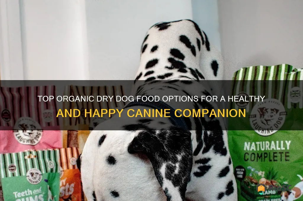 best organic dry dog food
