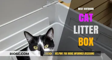 Top Picks for the Best Outdoor Cat Litter Box: Durable, Weatherproof, and Easy to Clean