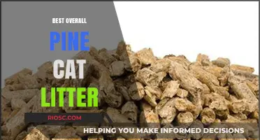 Top Choice for Feline Comfort: The Best Overall Pine Cat Litter for a Fresh and Eco-Friendly Home