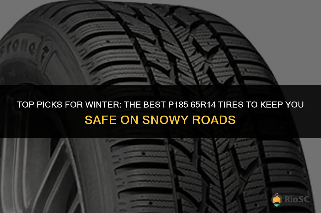 best p185 65r14 winter tires