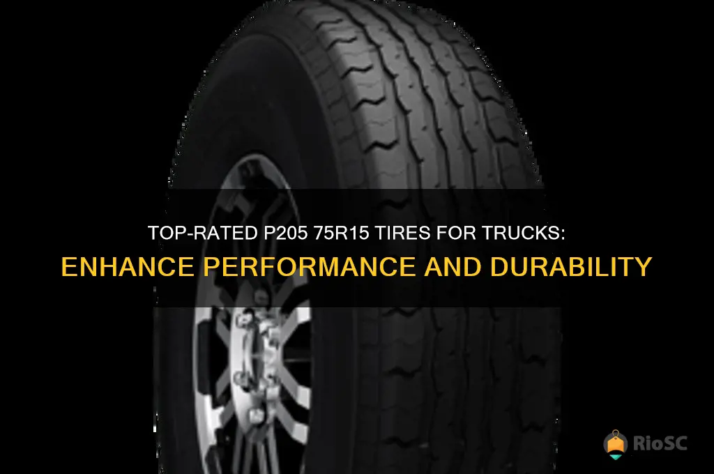 best p205 75r15 tires for truck