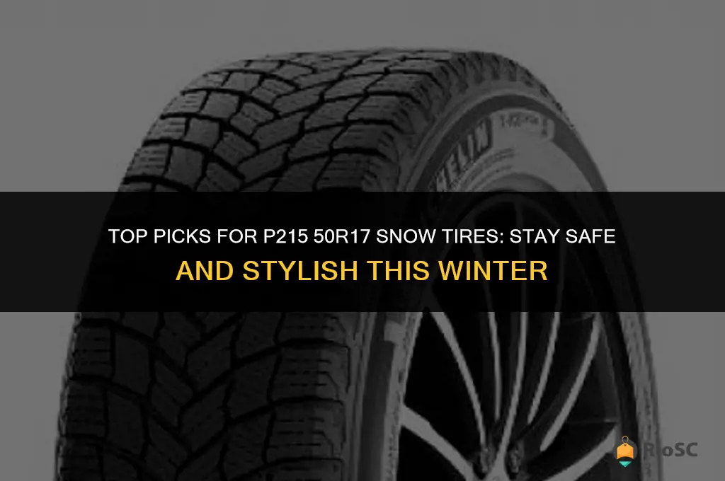 best p215 50r17 snow tires