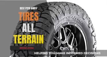 Top-Rated All-Terrain Tires for All-Season Adventure