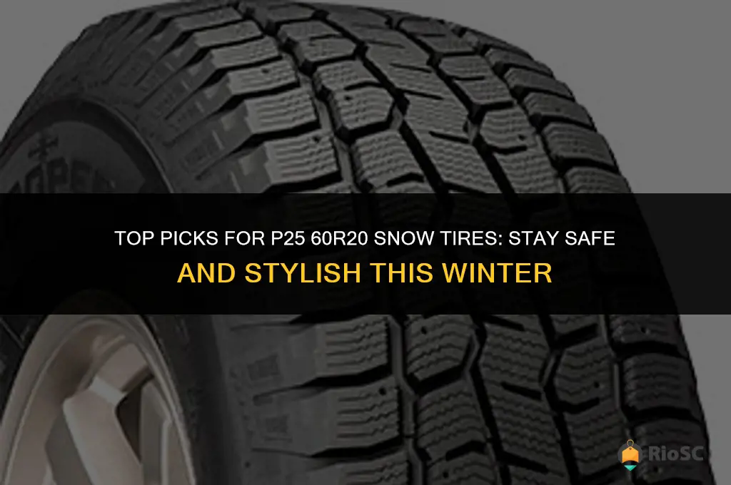 best p25 60r20 snow tires