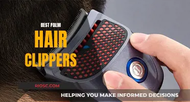 Top Clippers for Palm-Sized Trims