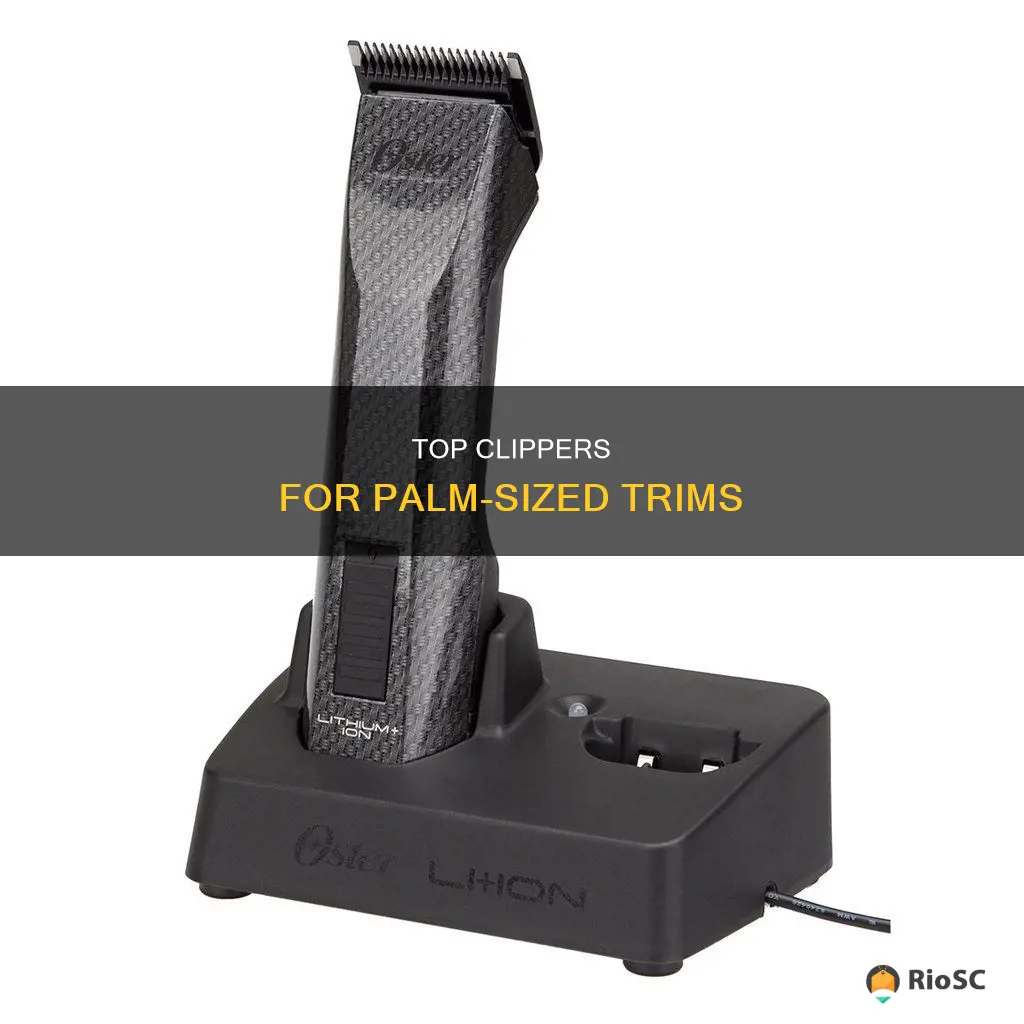 best palm hair clippers