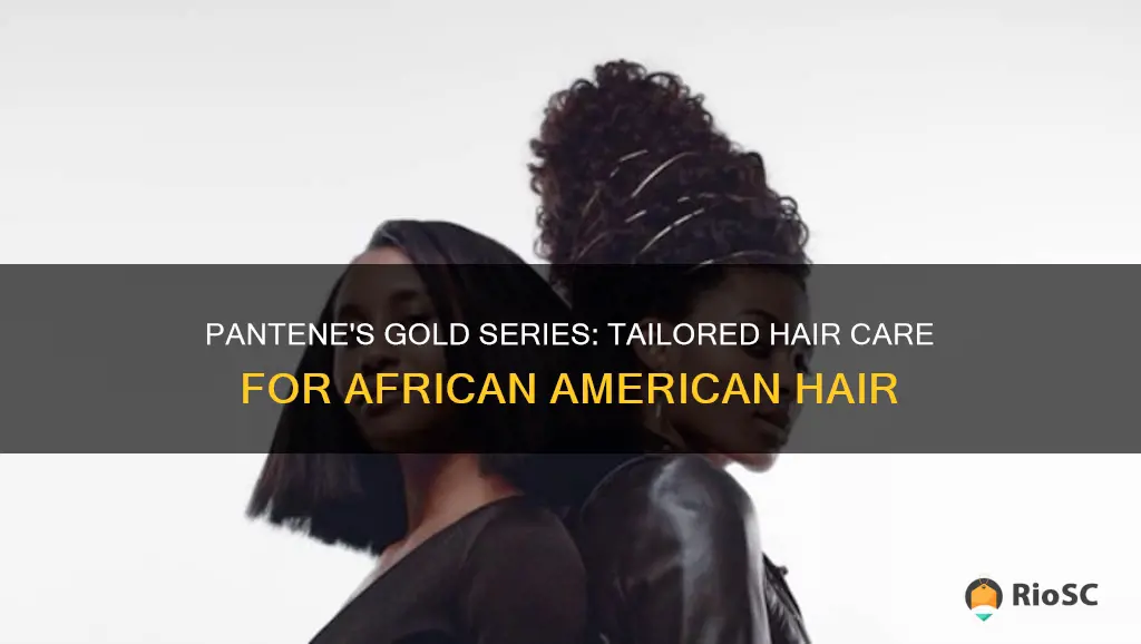 best pantene for african american hair