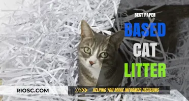 Eco-Friendly and Effective: The Ultimate Guide to Choosing the Best Paper-Based Cat Litter