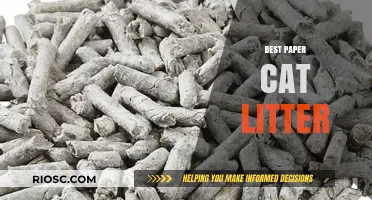 Eco-Friendly and Odor-Free: Discover the Best Paper Cat Litter for Your Feline Friend