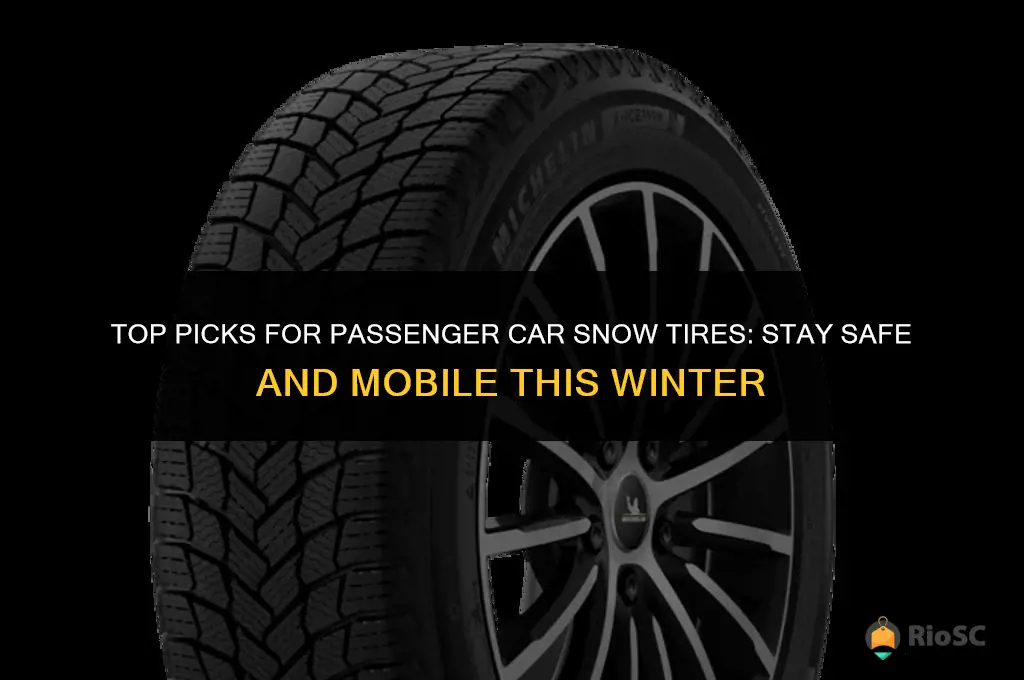 best pasenger car snow tires