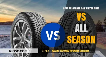 Winter Warriors vs. All-Season Aces: Which Tires Reign Supreme for Passenger Cars?