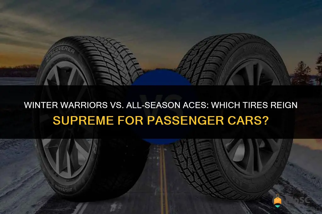 best passanger car winter tires vs all season