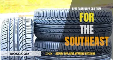 Passenger Car Tires for the Southeast: Finding the Best Option