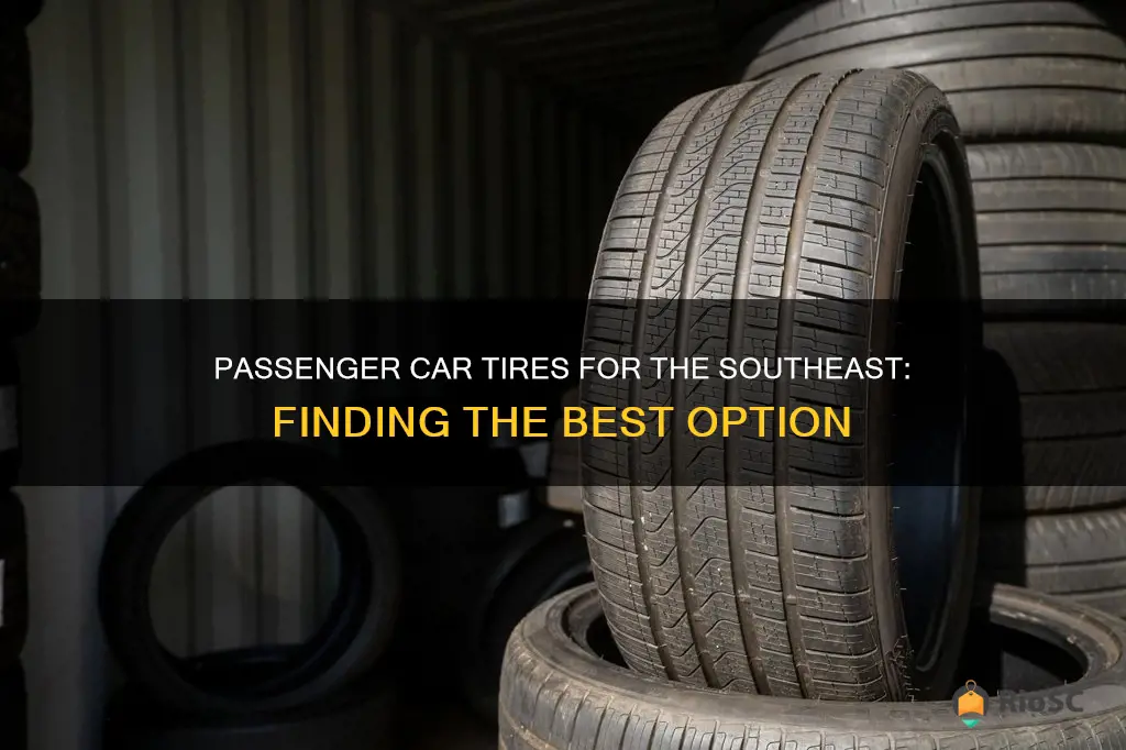 best passenger car tires for the southeast