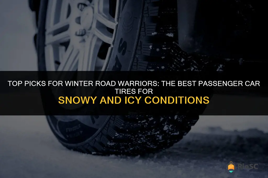best passenger car winter tires