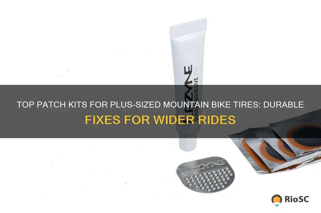 best patch kit for plus sized mountain bike tires