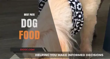 Top-Rated Pate Dog Food Options for Optimal Canine Nutrition