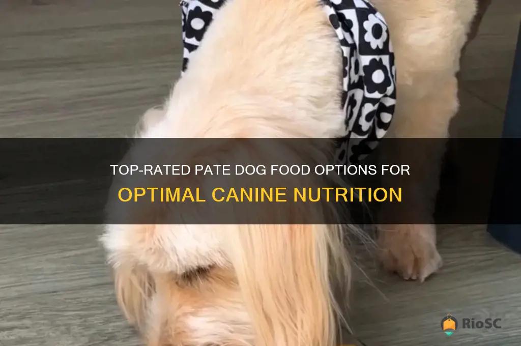 best pate dog food
