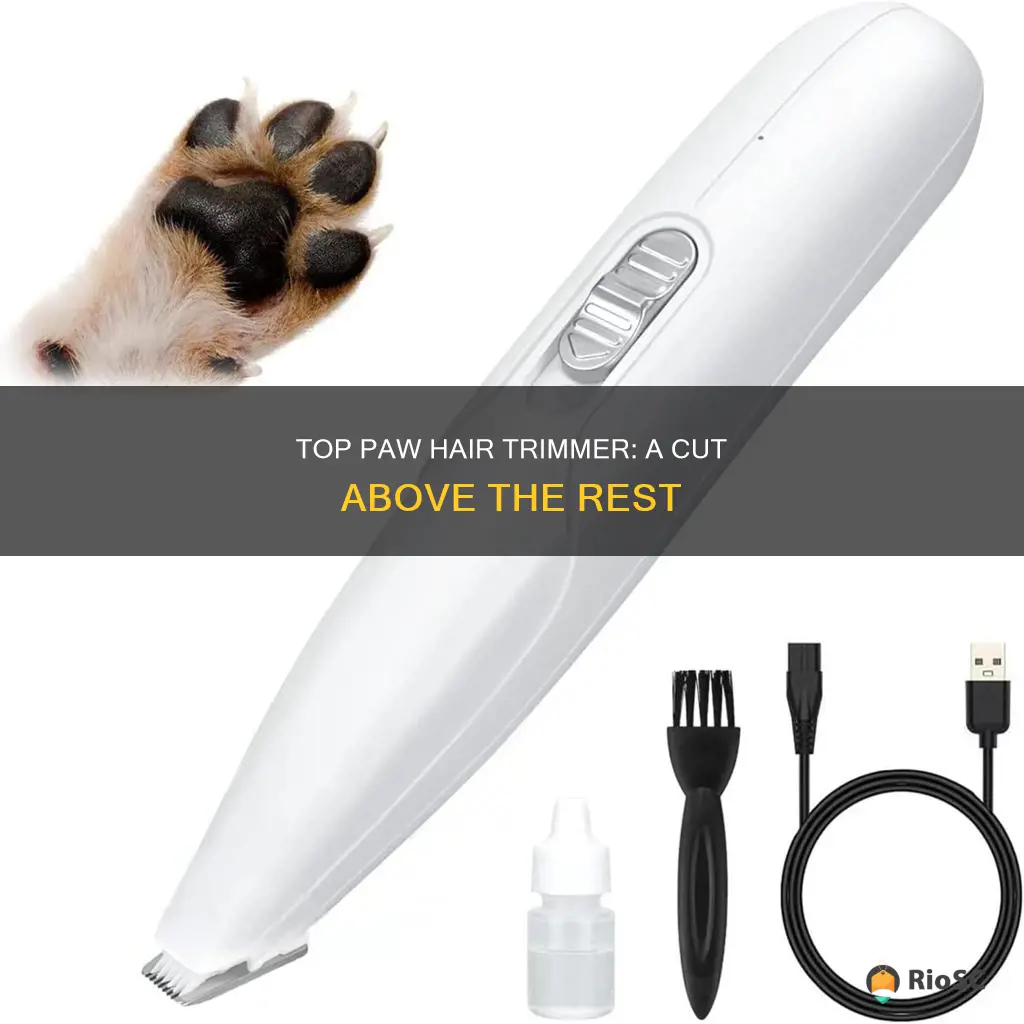 best paw hair trimmer