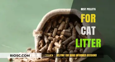 Top-Rated Pellet Cat Litter Options for Odor Control and Eco-Friendly Homes