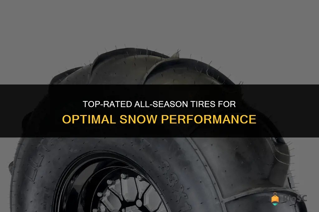 best performance a s tires for snow