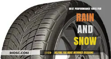 Conquering Wet and Snowy Roads: Top Performance Tires for All-Season Grip