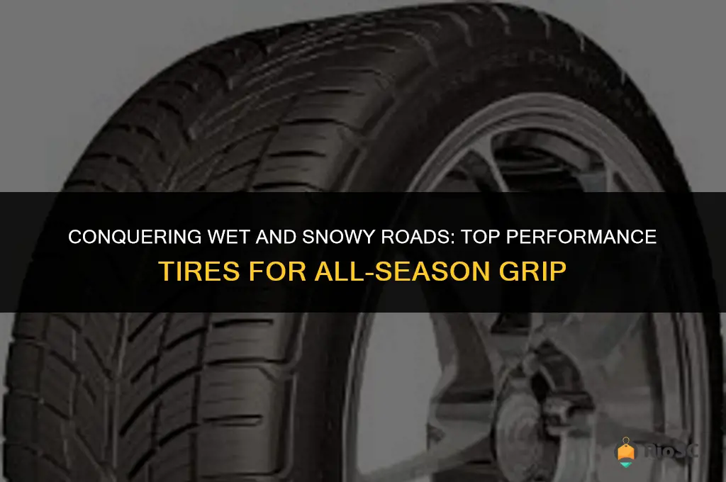 best performance tires for rain and snow