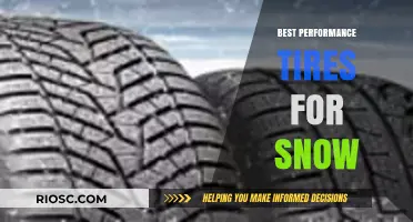 Top Winter Performance Tires for Snowy Conditions