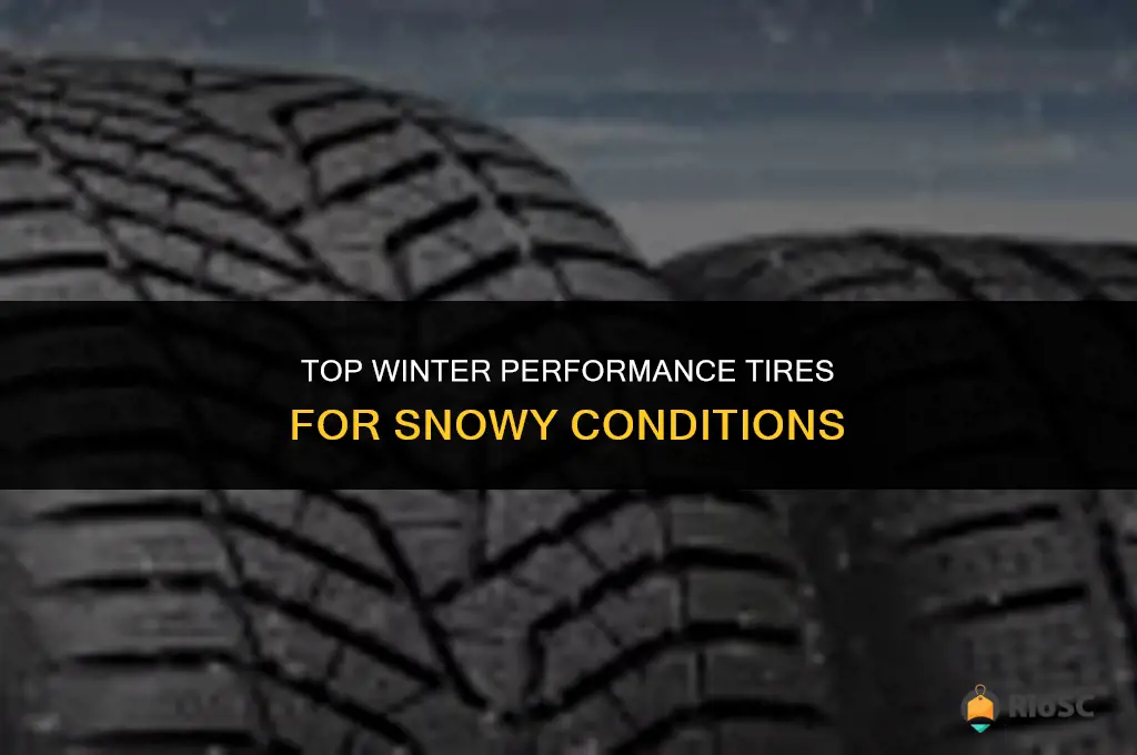 best performance tires for snow