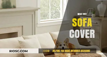 Ultimate Guide to Choosing the Best Pet Sofa Cover for Comfort and Durability