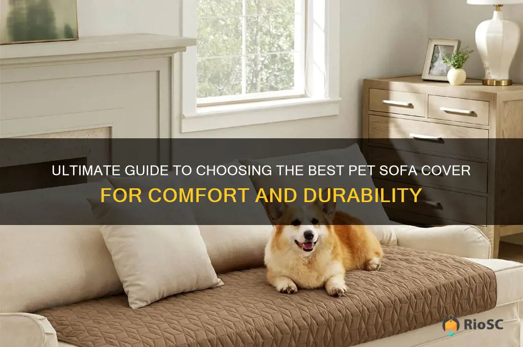 best pet sofa cover