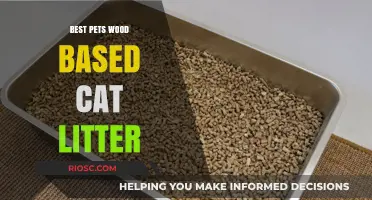Eco-Friendly Feline Care: Why Wood-Based Cat Litter is the Best Choice for Your Pet and the Planet