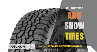 Top Picks for Winter Roads: Best Pickup Mud and Snow Tires
