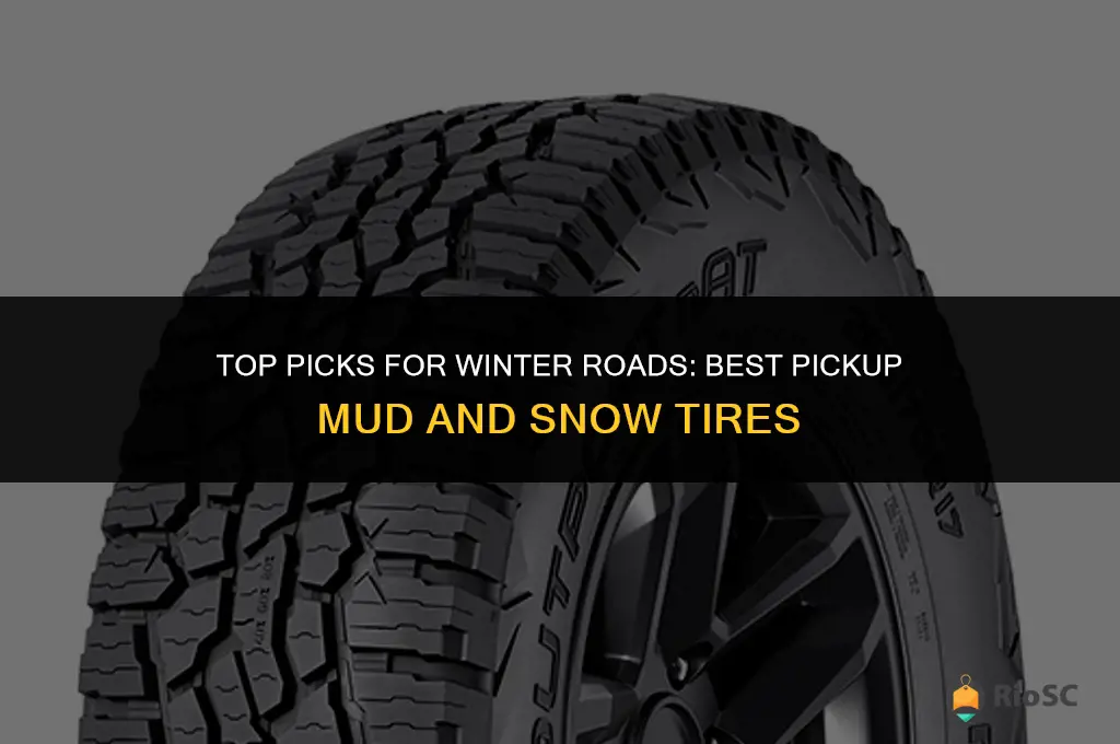 best pickup mud and snow tires