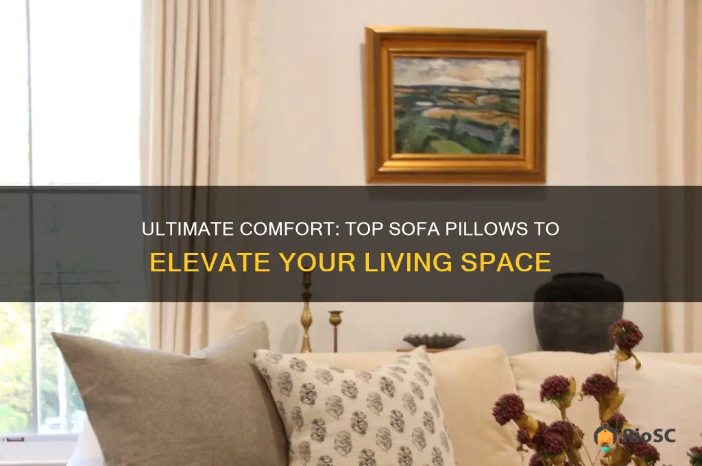 best pillows for sofa