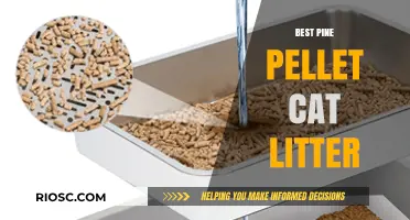Top-Rated Pine Pellet Cat Litter: Eco-Friendly, Odor-Control, and Budget-Friendly Options for Your Feline Friend
