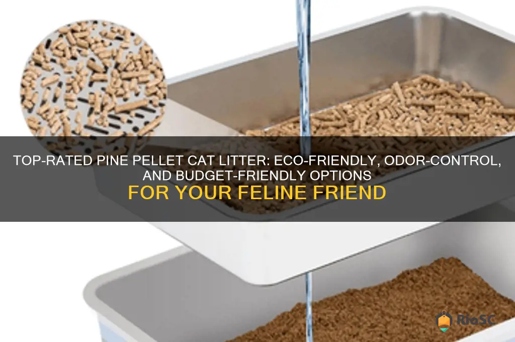 best pine pellet cat litter